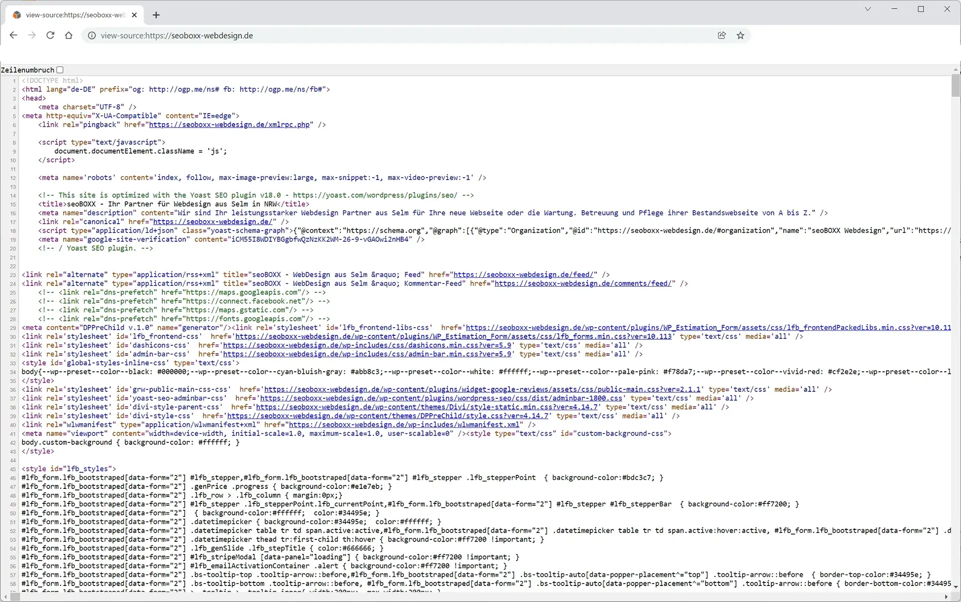 Datenschutz - Website Quellcodeansicht mit Suchfenster